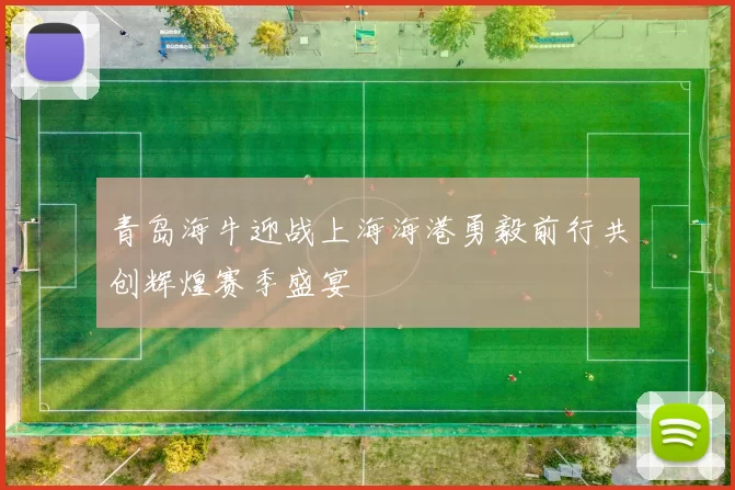 青岛海牛迎战上海海港勇毅前行共创辉煌赛季盛宴